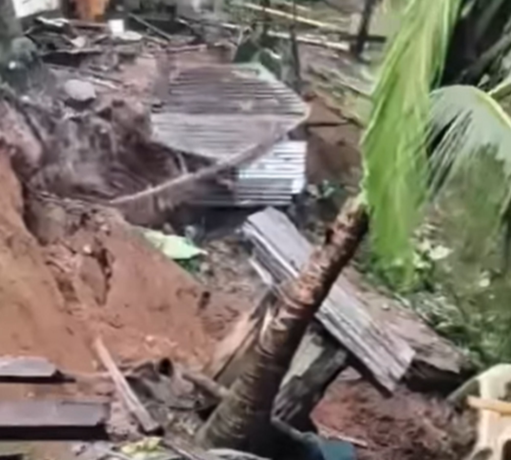 Video shows sudden landslide in Agusan del Sur, zero injuries — A model for disaster response?
